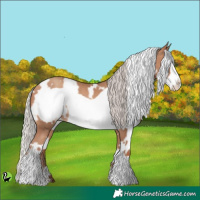 Horse Color:White Spotted Silver Sable Champagne Frame 
