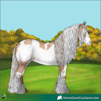 Horse Color:White Spotted Silver Sable Champagne Frame