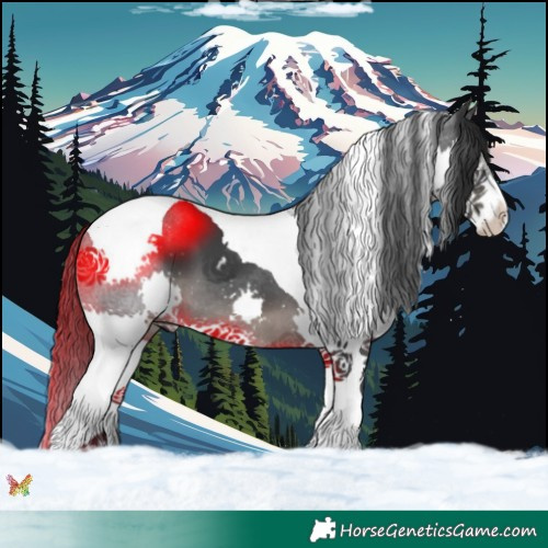 Horse Color:Black Splash Tobiano 