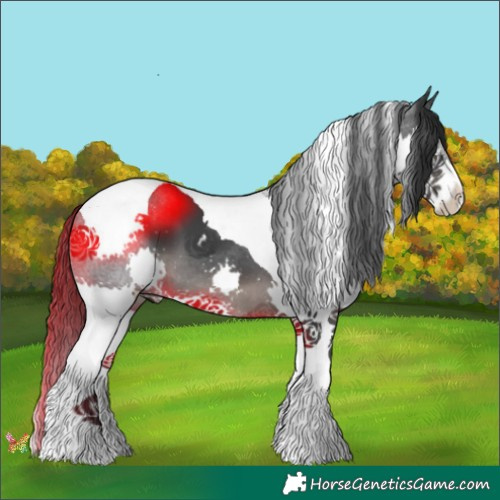 Horse Color:Black Splash Tobiano 