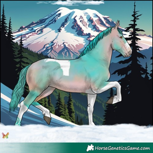 Horse Color:Watercolor Buckskin Tobiano 