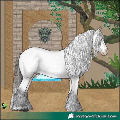 Horse Color:Brown Dun Appaloosa 