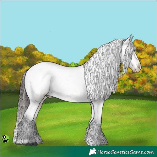 Horse Color:Brown Dun Appaloosa 