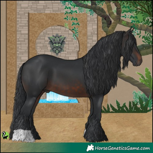 Horse Color:Brown 