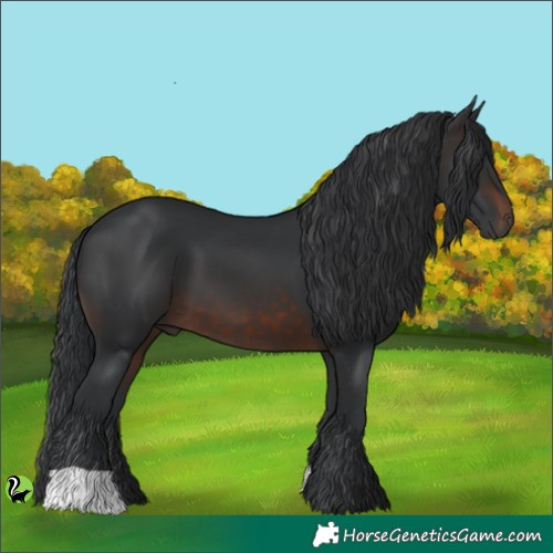 Horse Color:Brown 