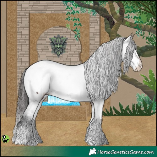 Horse Color:Brown Sabino Appaloosa 