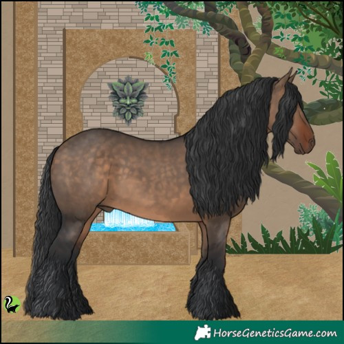 Horse Color:Brown Dun 