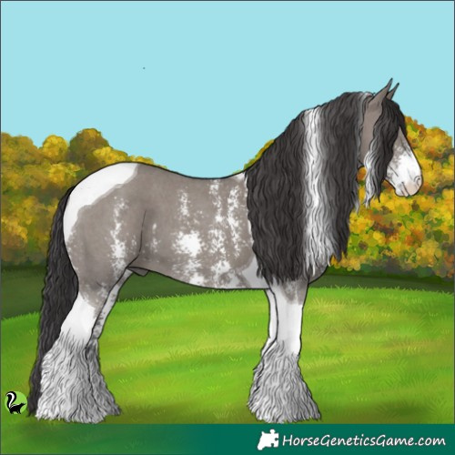 Horse Color:Smoky Grullo Sabino Tobiano 