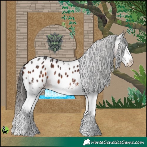 Horse Color:White Spotted Brown Appaloosa 