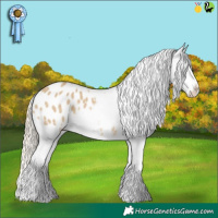 Horse Color:Chocolate Palomino Dun Tobiano Varnish 