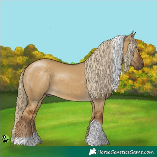 Horse Color:Chocolate Palomino Dun Tobiano 