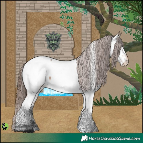 Horse Color:Brown Dun Appaloosa 