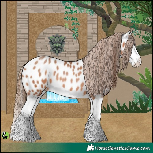 Horse Color:Brown Pearl Splash Appaloosa 