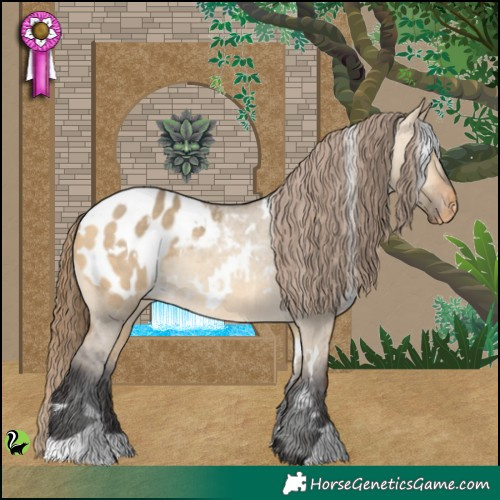 Horse Color:White Spotted Buckskin Dun Appaloosa 