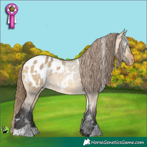 Horse Color:White Spotted Buckskin Dun Appaloosa 
