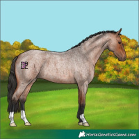 Horse Color:Bay Roan 