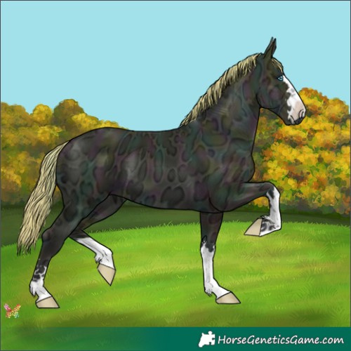 Horse Color:Watercolor Midnight Buckskin Ice Pearl 