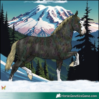 Horse Color:Watercolor Midnight Buckskin Ice Pearl 