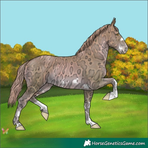 Horse Color:Watercolor Chestnut Ice Pearl 