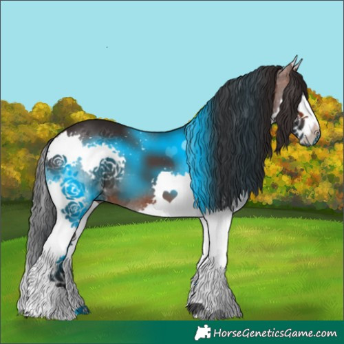 Horse Color:Brown Splash 