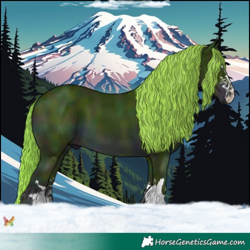 Horse Color:Watercolor Midnight Liver Chestnut 