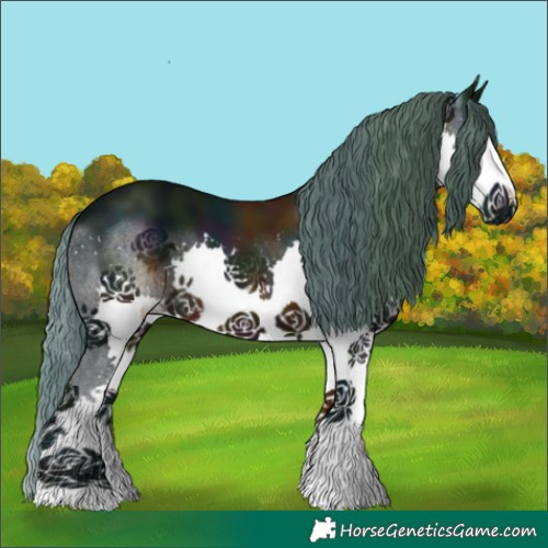 Horse Color:Watercolor Midnight Black Splash 