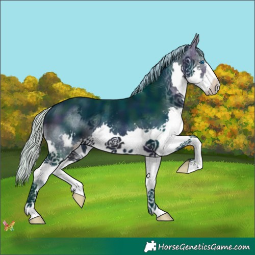 Horse Color:Watercolor Midnight Silver Brown Splash 