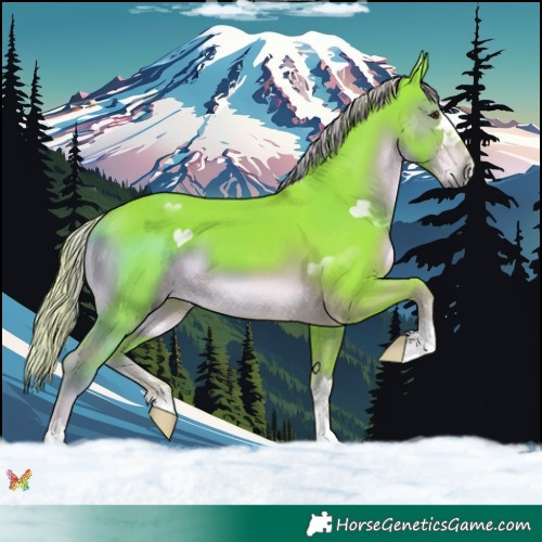 Horse Color:Watercolor Liver Chestnut 