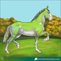 Horse Color:Watercolor Liver Chestnut 