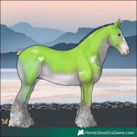 Horse Color:Watercolor Liver Chestnut 