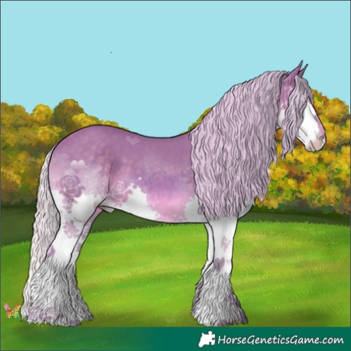 Horse Color:Watercolor Silver Smoky Black Splash 