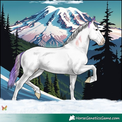 Horse Color:Watercolor Blue Onyx Sabino Splash Tobiano 