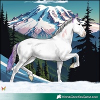 Horse Color:Watercolor Blue Onyx Sabino Splash Tobiano