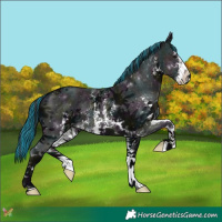 Horse Color:Painted Midnight Black Sabino 