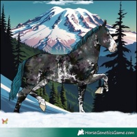 Horse Color:Painted Midnight Black Sabino 