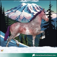 Horse Color:Painted Bay Sabino
