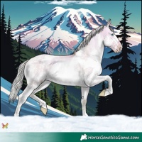 Horse Color:Watercolor Chocolate Palomino Dun Splash Tobiano 
