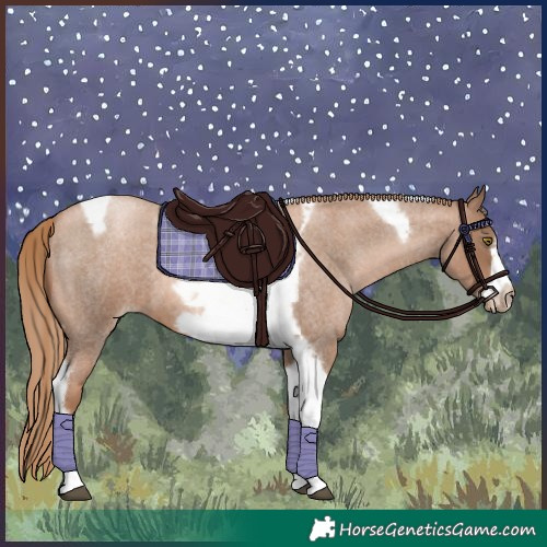 Horse Color:Liver Red Roan Pearl Tobiano Frame