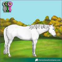 Horse Color:Gray Amber Champagne Pearl Dun Tobiano Appaloosa 