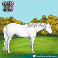 Horse Color:Gray Amber Champagne Pearl Dun Tobiano Appaloosa 