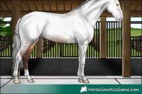 Horse Color:Gray Amber Champagne Tobiano Blanket 