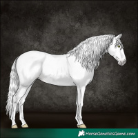 Horse Color:Gray Amber Champagne Dun Tobiano 