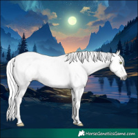 Horse Color:Gray Amber Champagne Dun Tobiano Appaloosa 