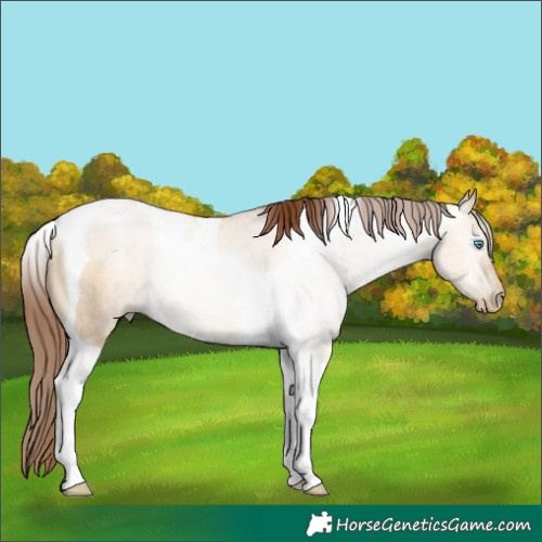 Horse Color:Gray Amber Champagne Pearl Dun Tobiano Brindle