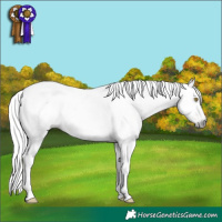 Horse Color:Gray Bay Pearl Dun Tobiano Varnish Brindle 