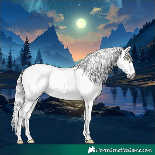 Horse Color:Gray Amber Champagne Tobiano Appaloosa 