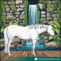 Horse Color:Gray Amber Champagne Tobiano Appaloosa 
