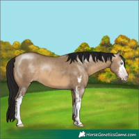Horse Color:Gray Sable Champagne Dun Sabino 