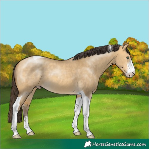 Horse Color:Sable Cream Champagne Dun Sabino Tobiano 