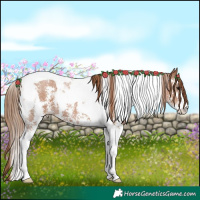 Horse Color:Black Pearl Sabino Tobiano 